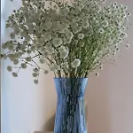 Fogar De Lecer منزل ريفي